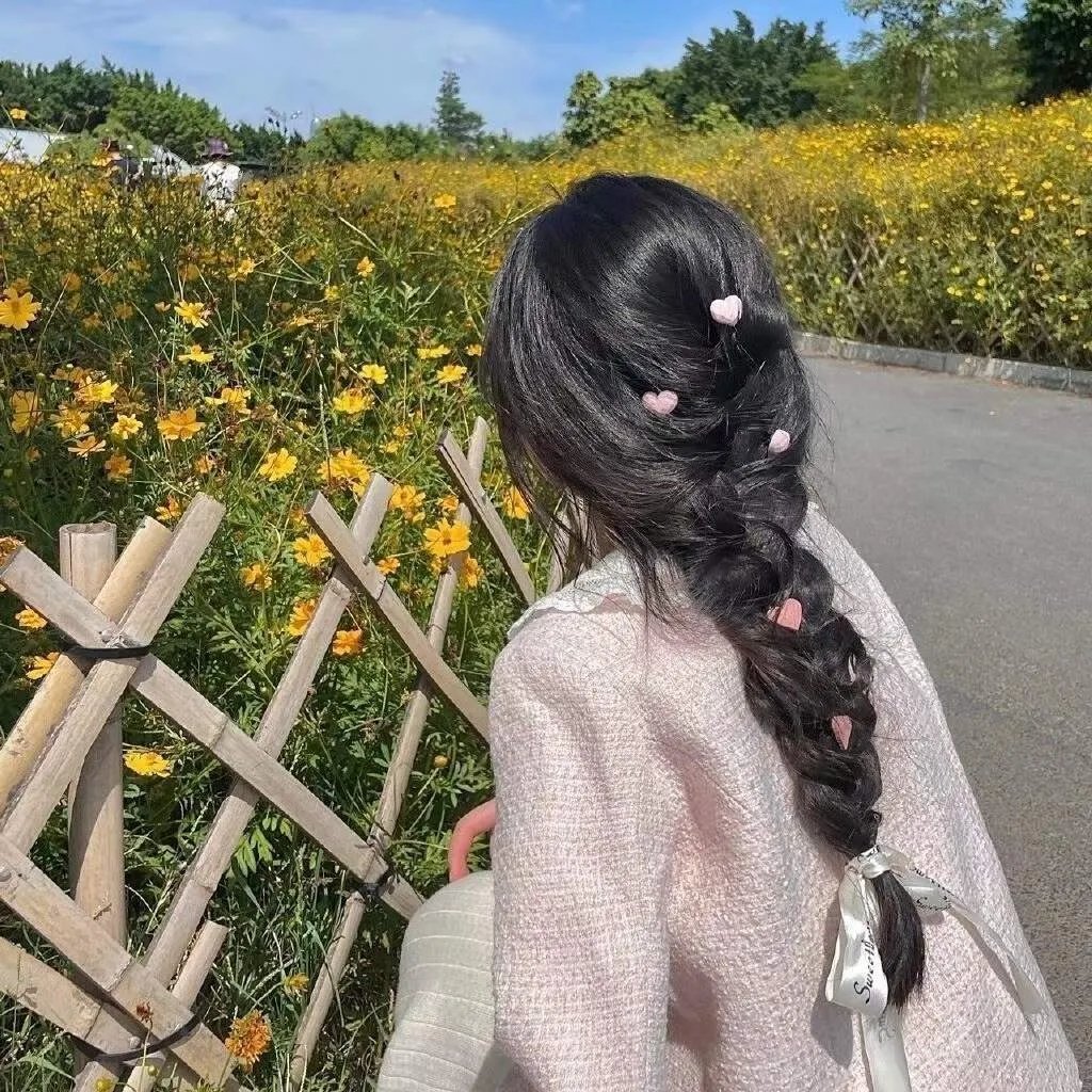 延禧攻略 封面