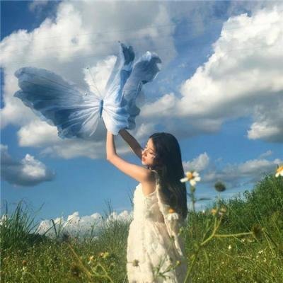 小岛奇谭 封面