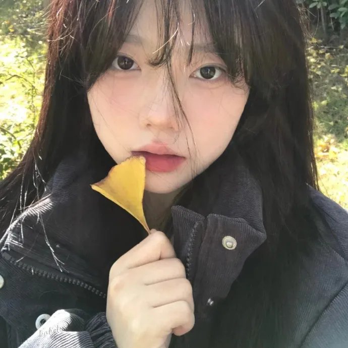 零效益 封面